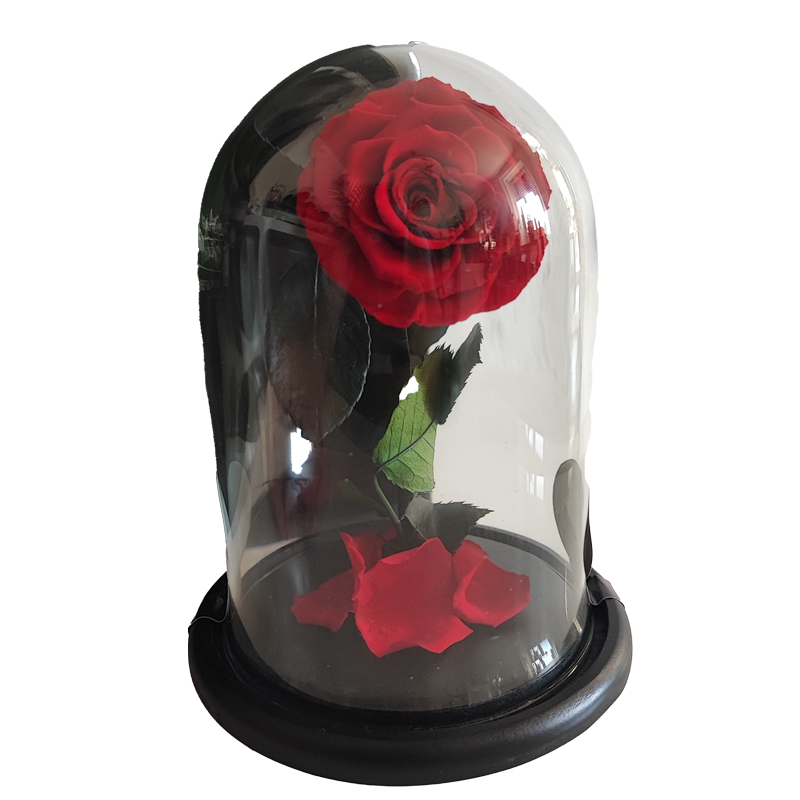 Rosa stabilizzata Rossa in Teca di Vetro