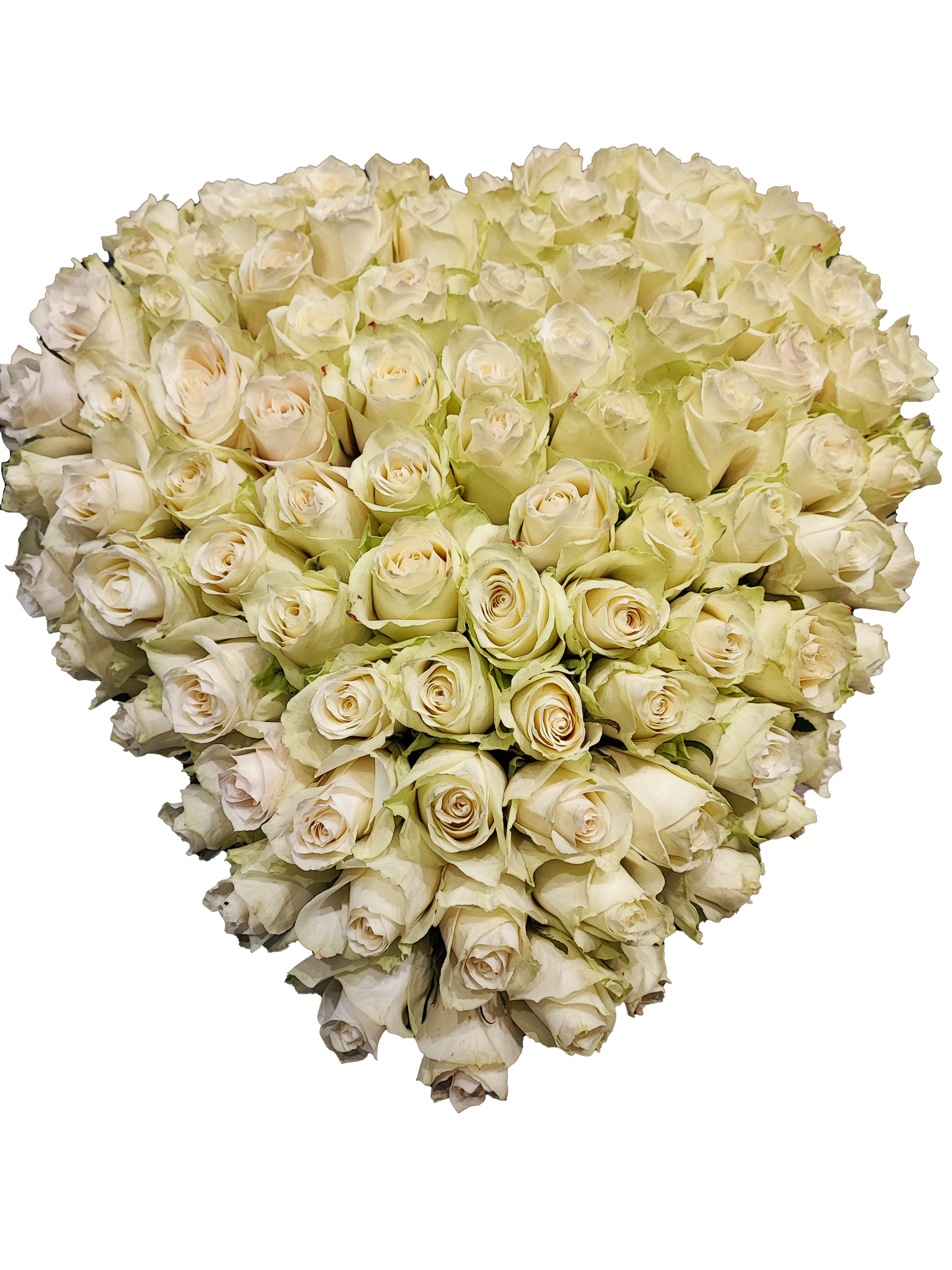 Cuore di rose bianche