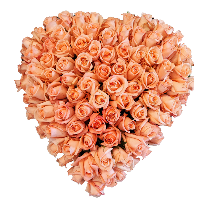 Cuore di rose rosa