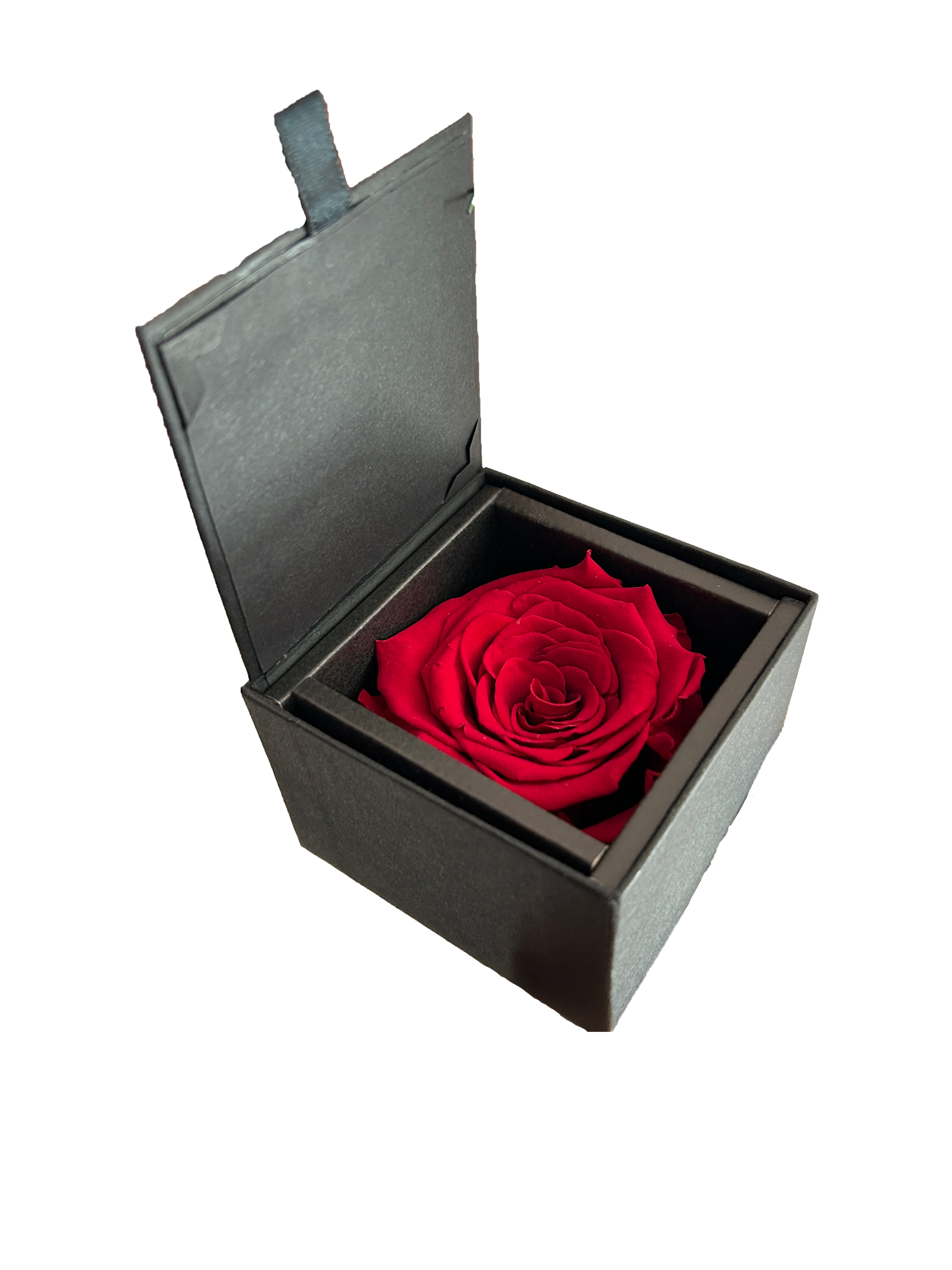 Rosa Stabilizzata Rossa in scatola nera