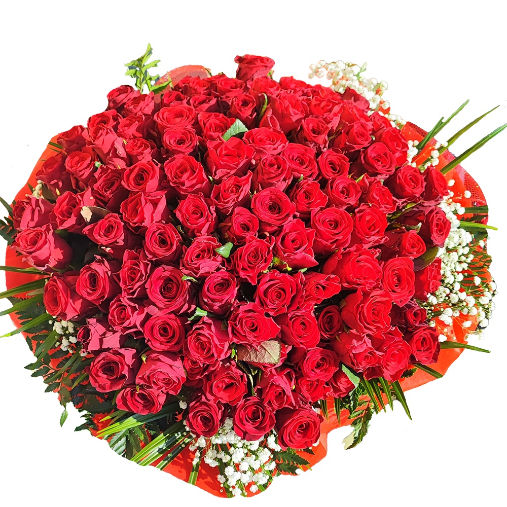 101 Rose Rosse gambo medio corto