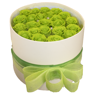 Flower Box Verde XL