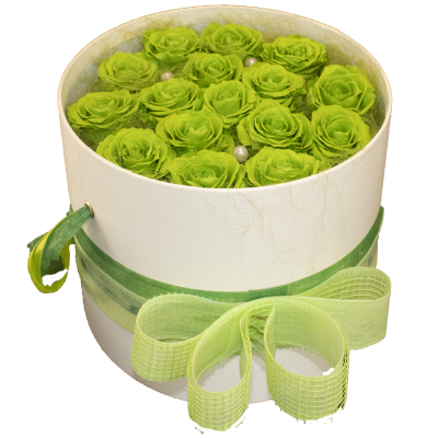 Flower Box Verde L
