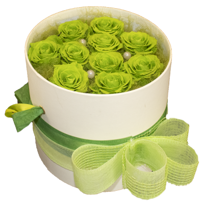 Flower Box Verde M