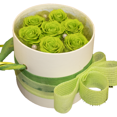 Flower Box Verde S
