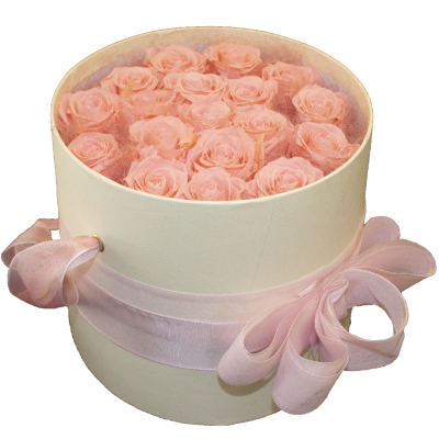 Flower Box Rosa L